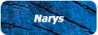 naryas.jpg