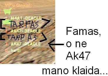 Vipmenu vaizdas.JPG