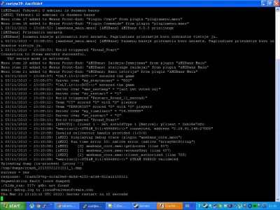 serverio error